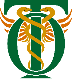TERAPIA OCUPACIONAL
